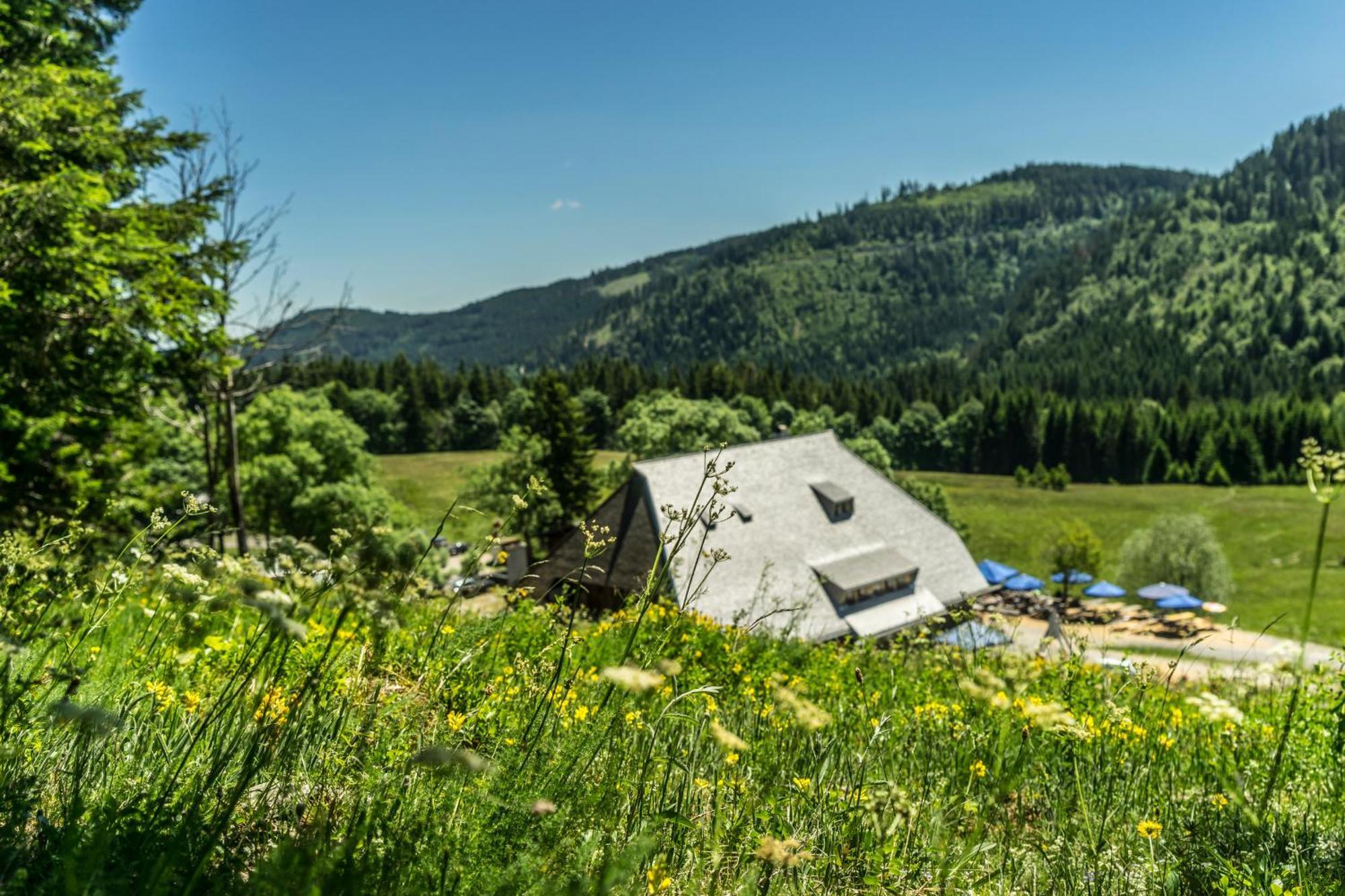 Drei Tannen - Wohnung 07 - Apartmenthaus, Titisee, Feldberg Esterno foto